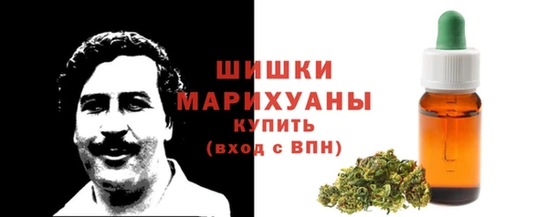 крисы Арсеньев
