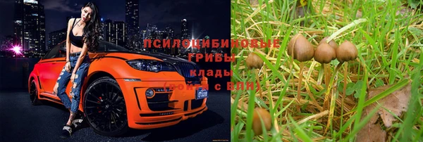 крисы Арсеньев