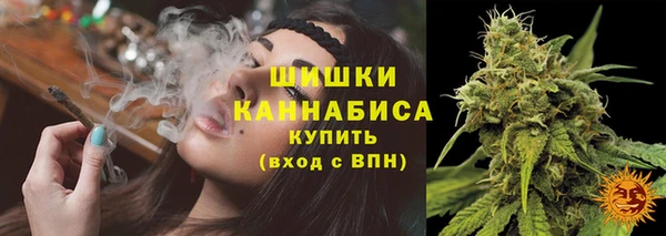 крисы Арсеньев